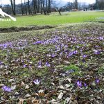Budowa Centrum Rekreacji i Balneologii w Porębie Wielkiej