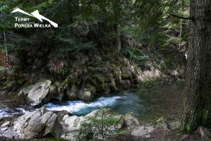Budowa Centrum Rekreacji i Balneologii w Porębie Wielkiej